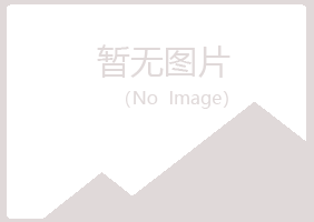 黑山县残缺采矿有限公司